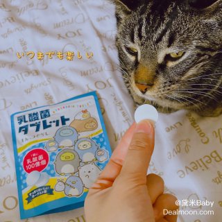 🍼日本零食～乳酸菌味的酸奶片...