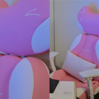 我家颜值最高的粉红猫咪椅到底怎么样？...