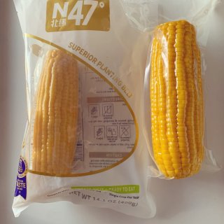 北纬47度甜玉米🌽健康的粗粮食品...