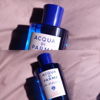 【香水】帕尔玛之水-蓝色地中海-无花果...