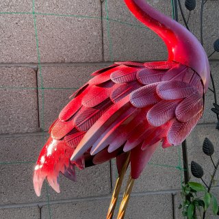 Costco的火烈鸟庭院装饰太美啦...