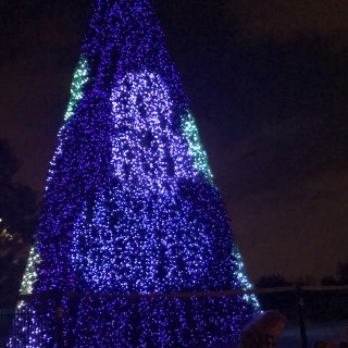 达拉斯植物园超美灯展...
