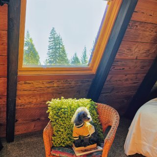 Tahoe旅游攻略｜宝藏airbnb复古...