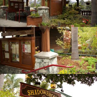 湾区┃▶️浪漫的缆车🚡景观餐厅Shado...