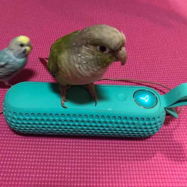 晒货图片