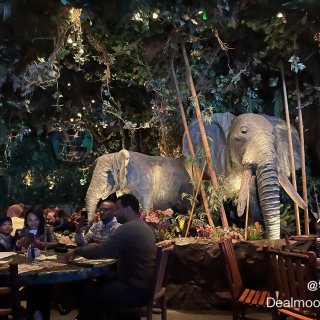 Disney小镇亲子餐厅推荐——热带雨林...