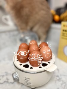 小熊煮蛋器-鸡蛋守护者