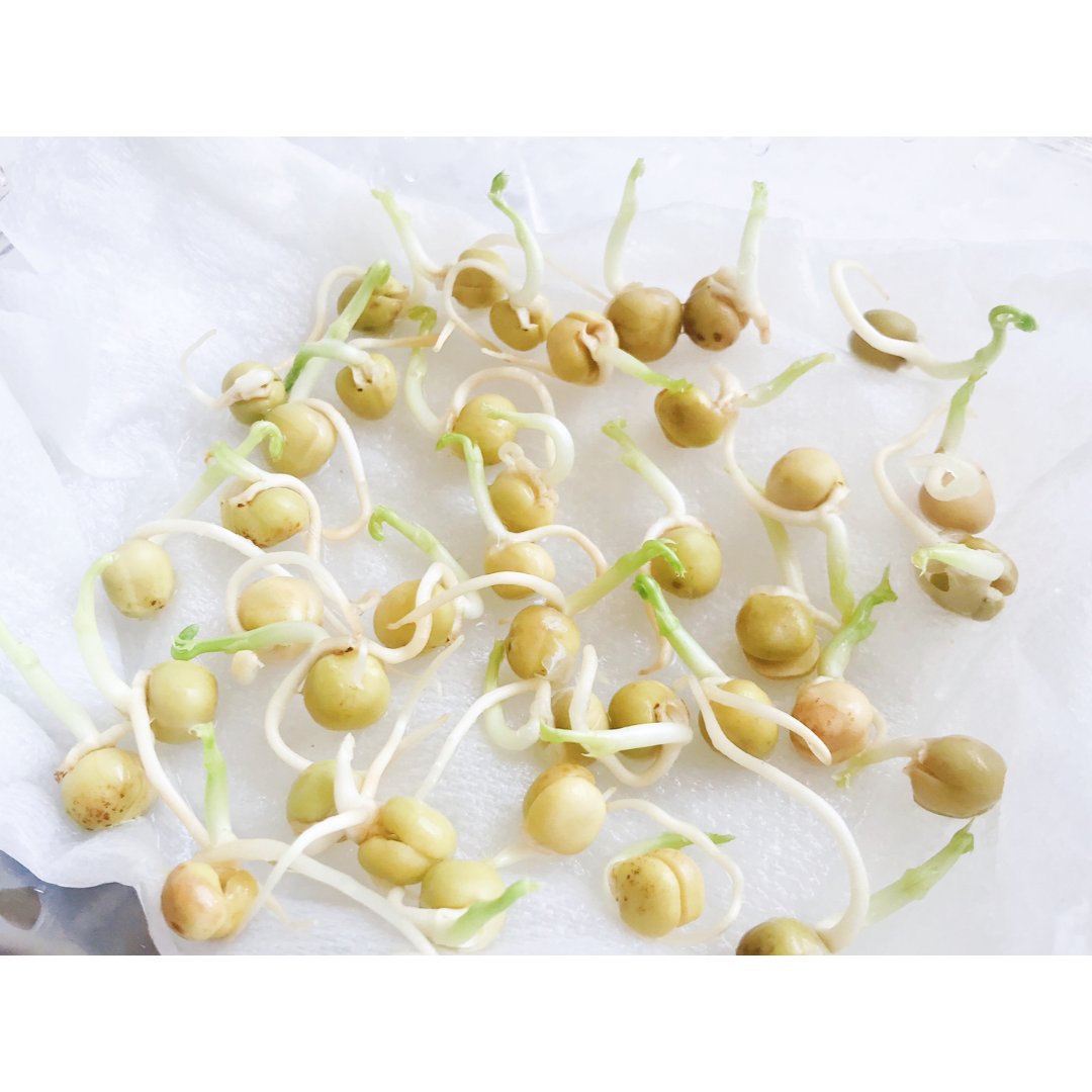 种植记 隐隐约约要翻车的豆苗君 北美省钱快报dealmoon Com 晒货