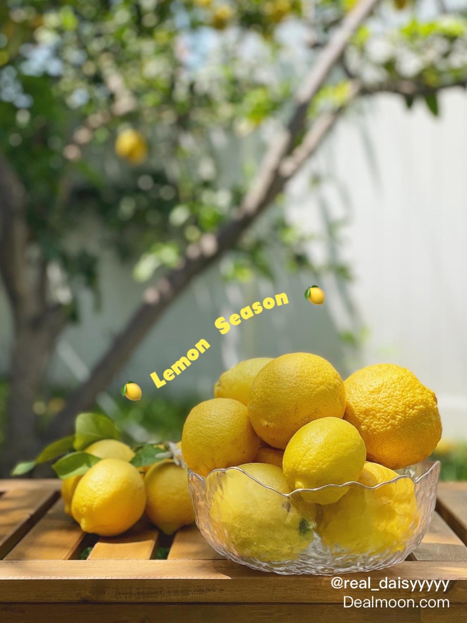 ｜吃吃喝喝｜✨柠檬树下你和我🍋...