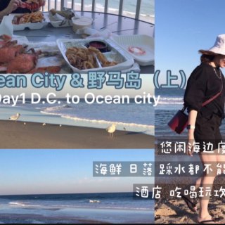 Ocean City&野马岛（上） 悠闲...