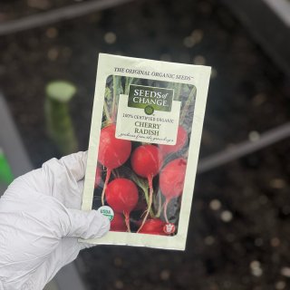 Search Results for radish seeds organic seeds of change vegetable seeds at The Home Depot