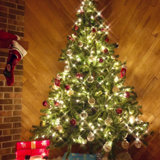 🎄今年的圣诞树🎄...
