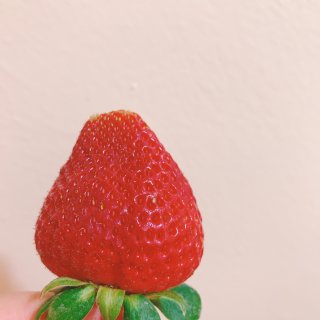2022#17草莓🍓
