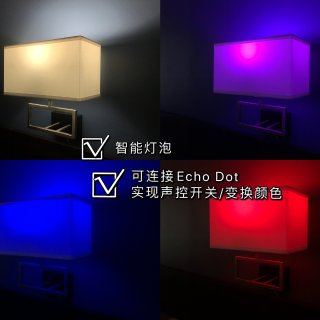 智能家居系列｜Echo Dot+智能开关...