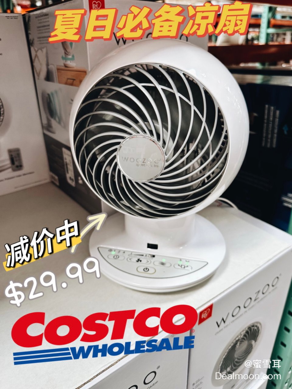 Costco｜夏日必备凉风扇🪭有了它夏天...