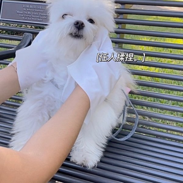 晒货图片