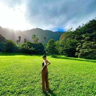夏威夷Ho’omaluhia植物园经典景...
