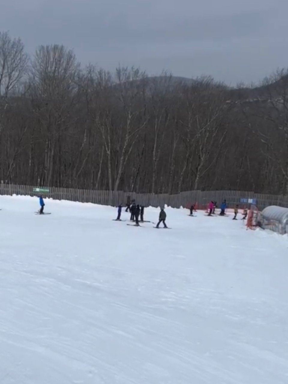 滑雪⛷️