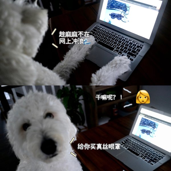 晒货图片