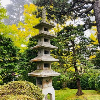 Japanese Garden寻秋...