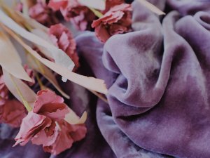 Cloroom ☁️ 初秋的完美丝绒体验