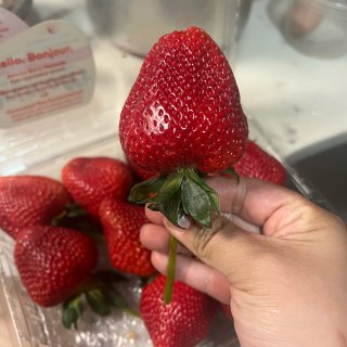 法拉盛周边超市分享之：超大号新鲜草莓🍓...