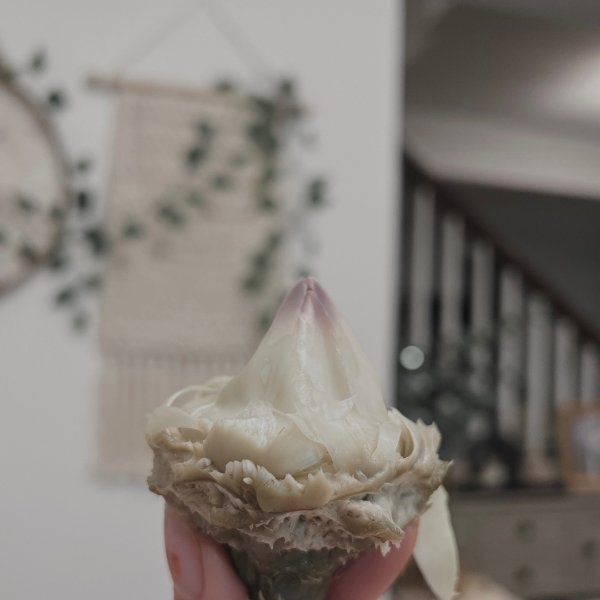 晒货图片