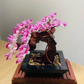 Lego｜Bonsai Tree 盆景...