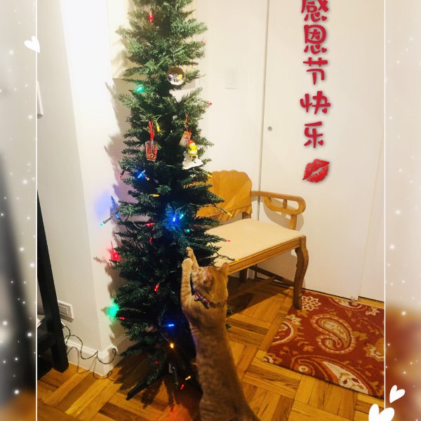 晒货图片
