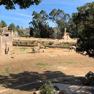 San Diego Zoo Safari...