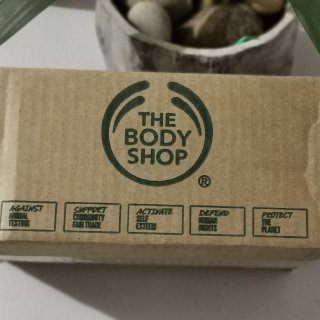 THE BODY SHOP—生姜洗发水...