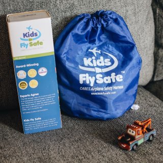 Kids Fly Safe,59.99美元