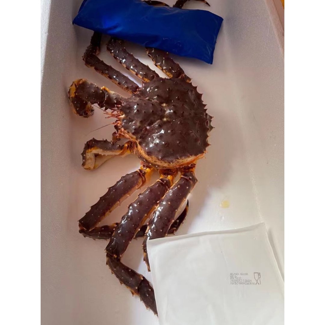 晒晒圈精选美食 蜘蛛蟹