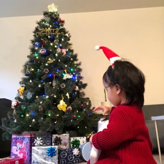 终于拥有一棵自己的圣诞树啦～...