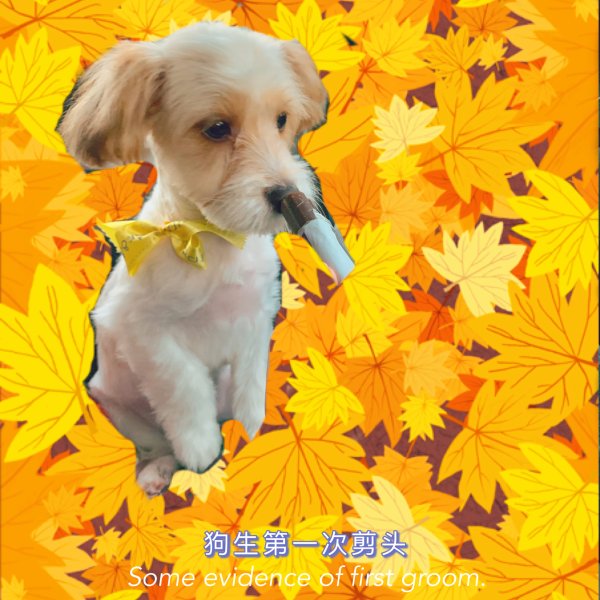 晒货图片