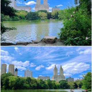 NYC之Central Park1⃣️...