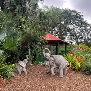 迈阿密动物园游记...
