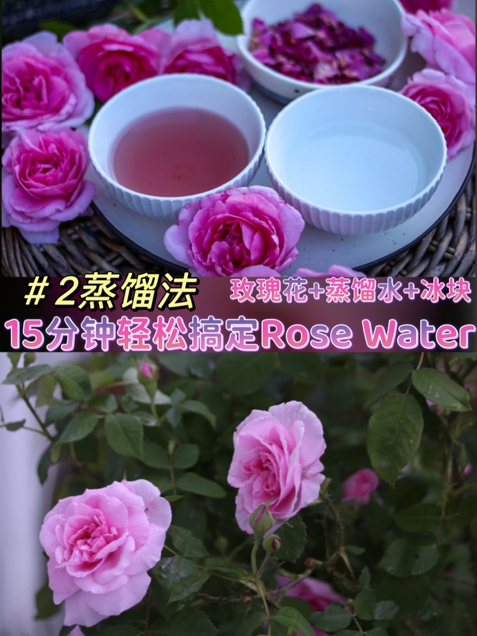 🌹#2⃣️蒸馏法/15分钟在家自制玫瑰水...