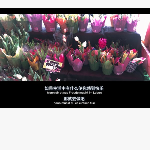 晒货图片