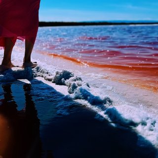 美丽的Alviso Marina盐湖...