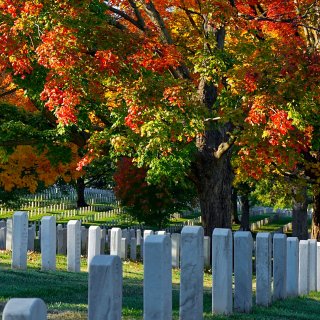 万万没想到，阿灵顿公墓也有好秋色！...