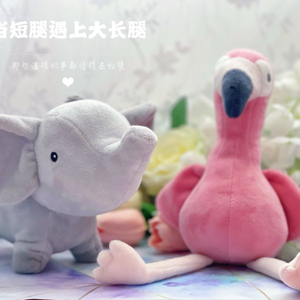 晒货图片