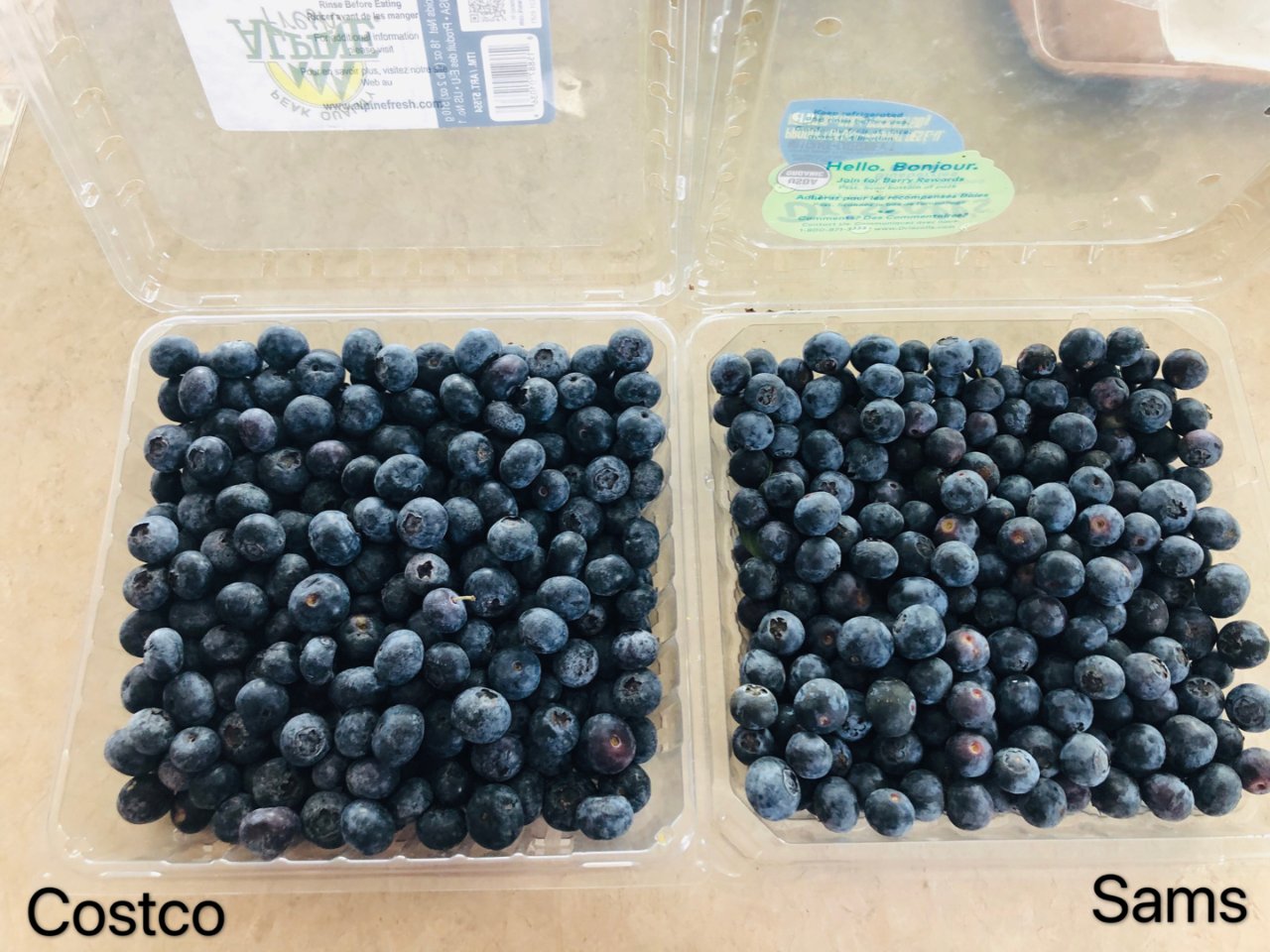 蓝莓对比🆚 看看买哪一个更好...