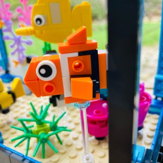 Lego｜fish tank 鱼缸...