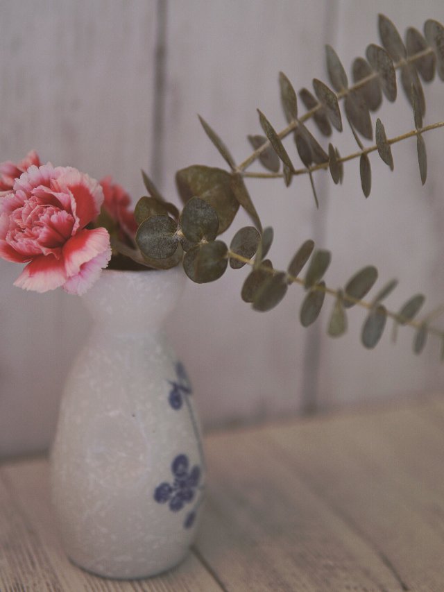 小物 | 被古风了的小圆叶🍃