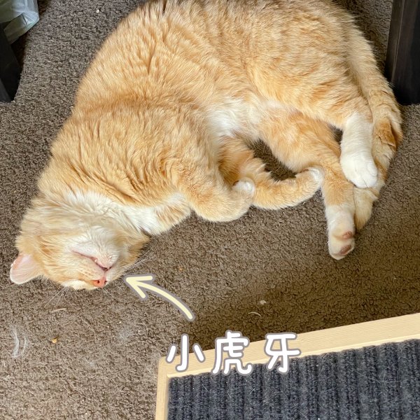 晒货图片