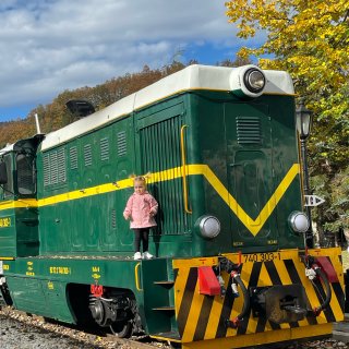 参观塞尔维亚🚂著名的Sargan 8火车...
