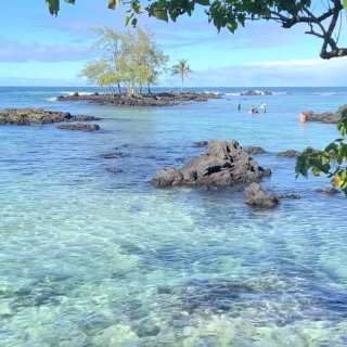夏威夷大岛🌺能和海龟游泳的油画般海滩！...