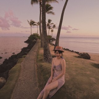 夏威夷欧胡岛 Jennie同款椰树海滩...