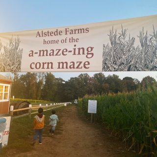 Alstede Farm